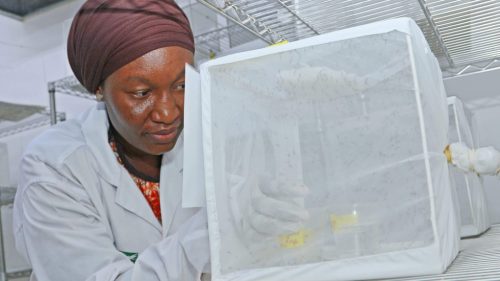 Africký štát pozastavil zdravotnícky projekt financovaný Billom Gatesom
