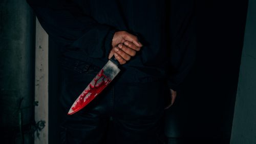 Pamätáte si na Irynu: Kedy sa vražda ignoruje? Keď je obeť biela a vrah čierny?