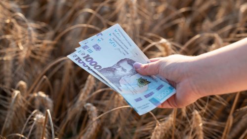 MMF tlačí Kyjev na oslabenie meny – Bloomberg