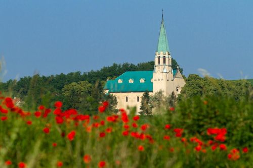 NOVÉ SADY: Obec v kocke