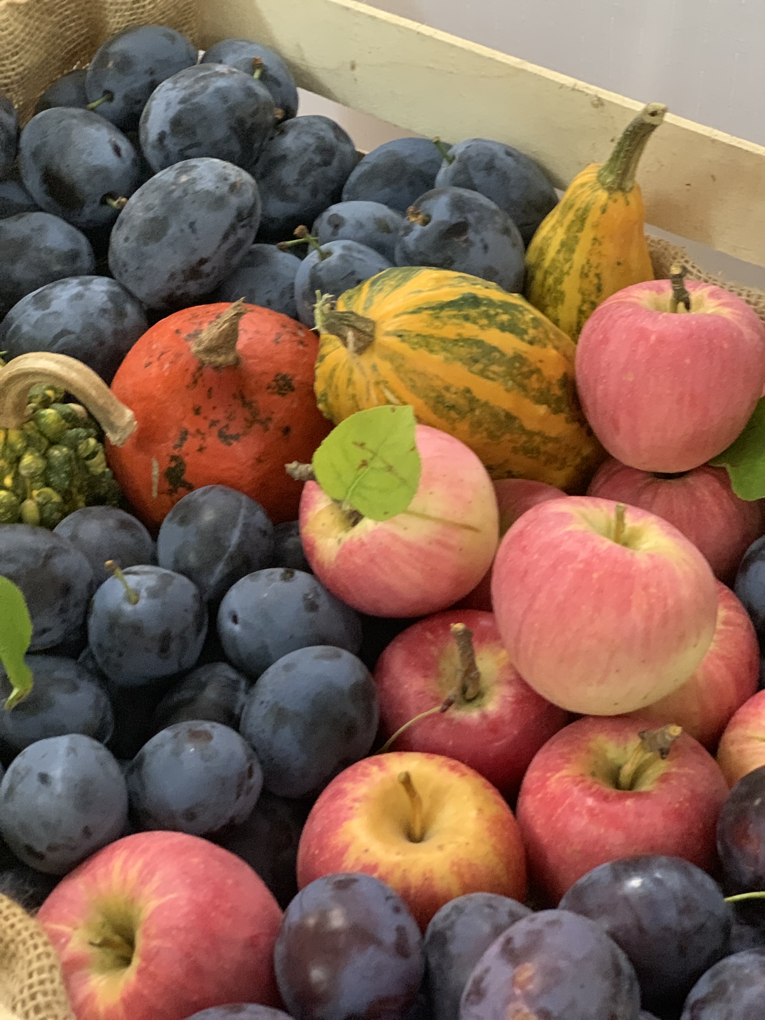 MOJZESOVO: Obecné slávnosti 2025 MOJZESOVO: Obecné slávnosti 2025