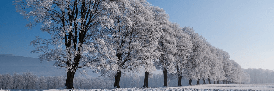 MOŠOVCE: Múzeum mošovských remesiel MOŠOVCE: Múzeum mošovských remesiel