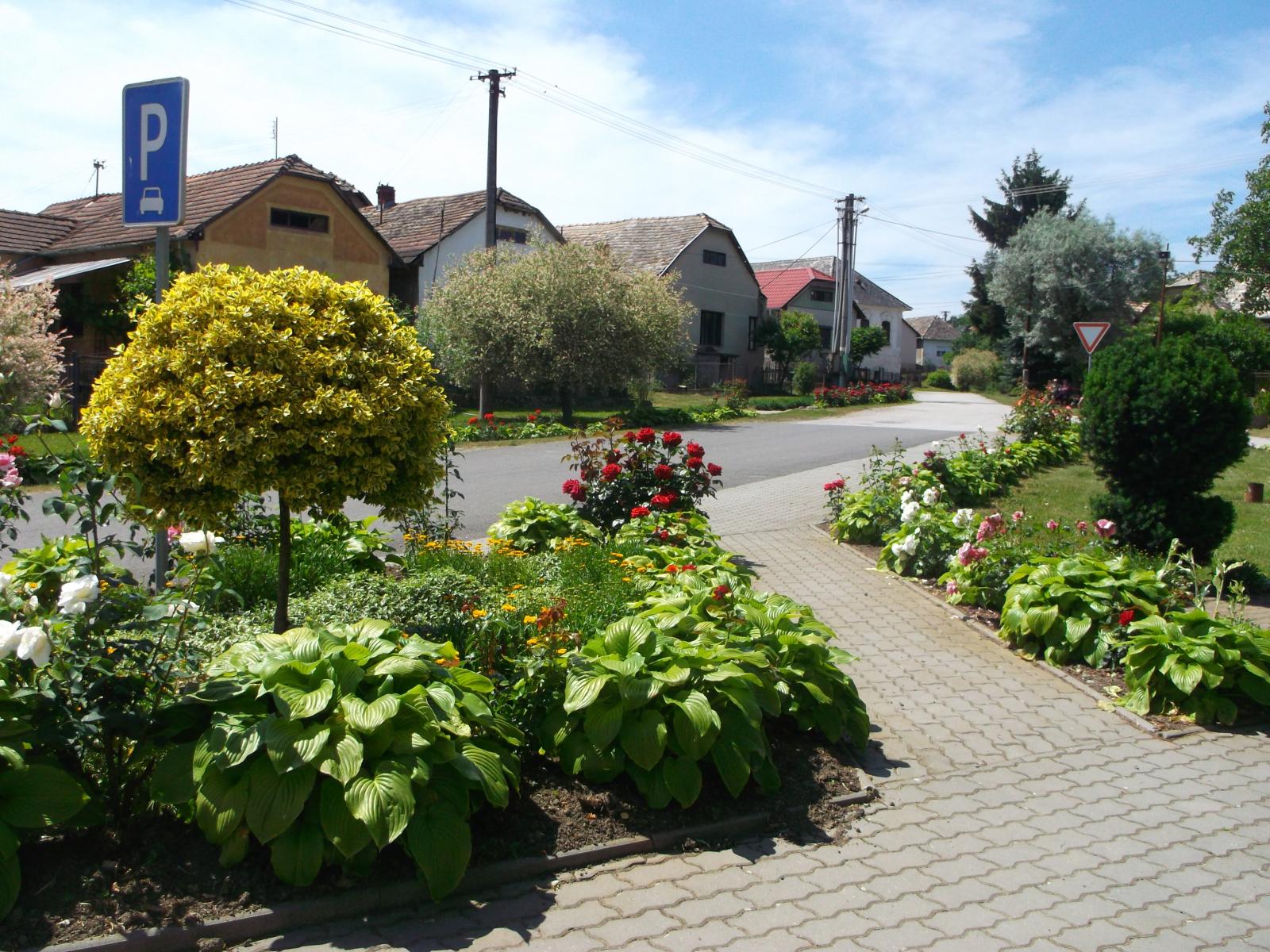 PADAROVCE: História obce PADAROVCE: História obce