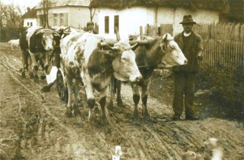 ŠTERUSY: Hodová zábava Dolný Lopašov