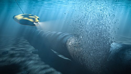 Poľsko blokuje nemecké vyšetrovanie sabotáže Nord Streamu