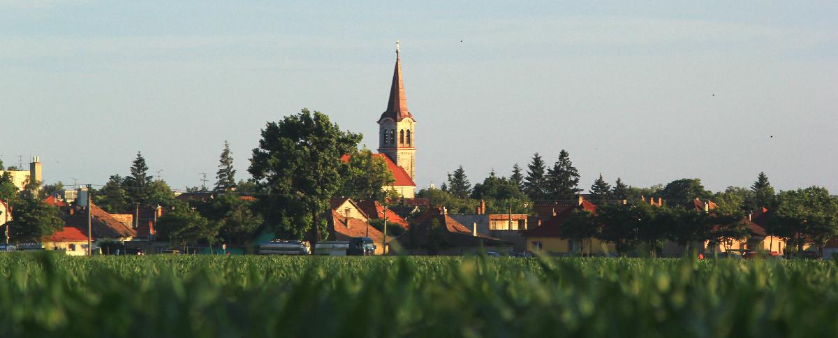 ZLATÉ KLASY: Mikuláš 5.12.2025 ZLATÉ KLASY: Mikuláš 5.12.2025