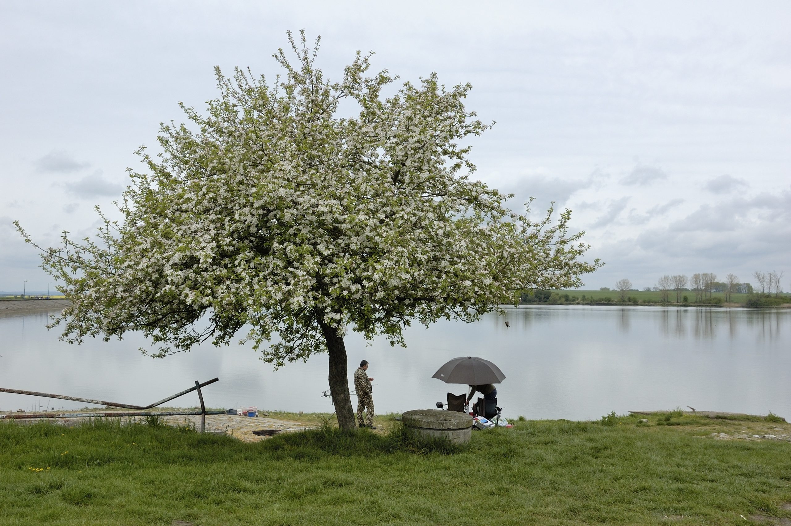 PETROVA VES: Kultúra v obci