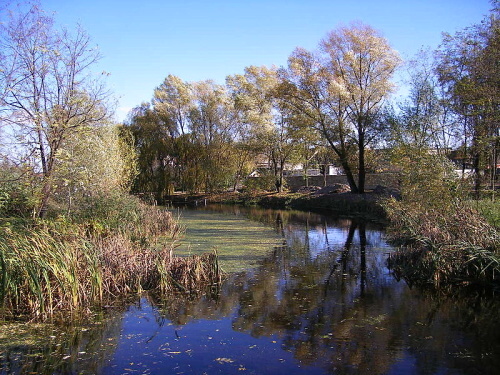 PATAŠ: Obec na Slovensku v okrese Dunajská Streda