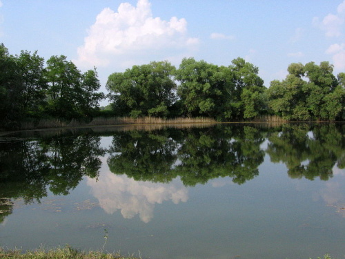 KĽÚČOVEC: Kulcsod