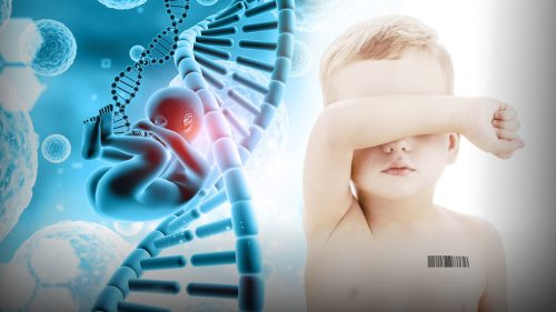 „Technologickí titani sa uchádzajú o vytvorenie dizajnového dieťaťa – WSJ