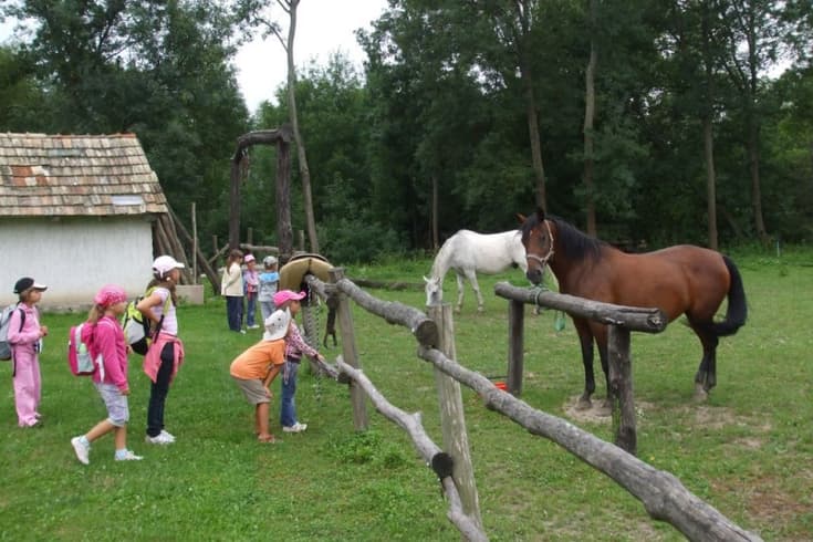 MALÉ RAŠKOVCE: Kisráska