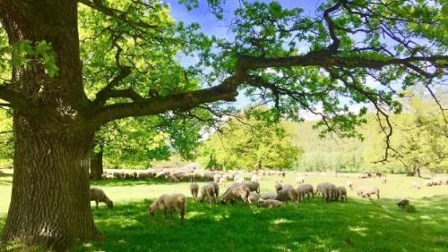 TURČIANKY: Nadmorská výška v strede obce je 224 m
