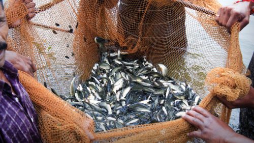 Moskva schváli indické rybárske jednotky