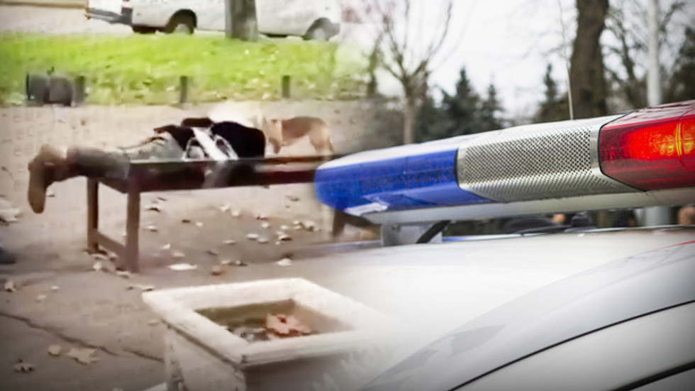 Žena priviazaná páskou k lavici na Ukrajine počas verejného trestu (VIDEO)