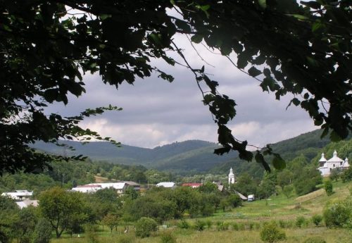 MEDVEDIE: V našej krajine prevládajú lesy s prevahou buka, brezy a borovice a máme tu aj sírový minerálny prameň.