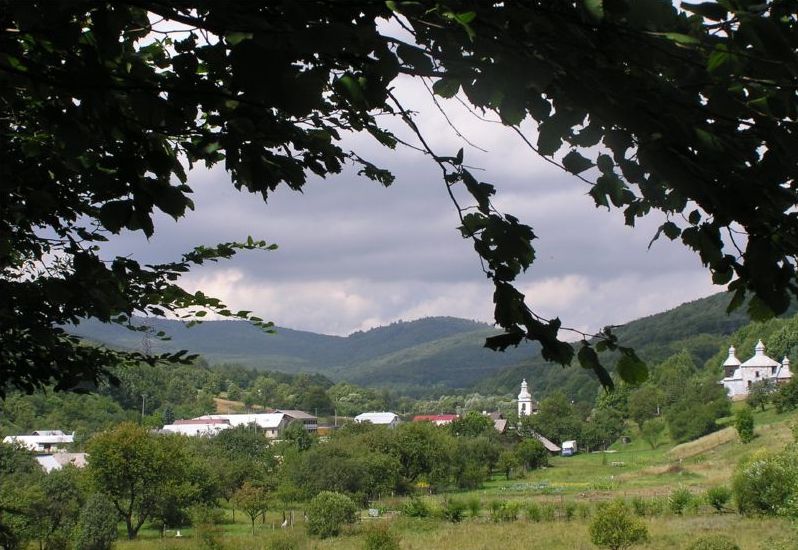 MEDVEDIE: V našej krajine prevládajú lesy s prevahou buka, brezy a borovice a máme tu aj sírový minerálny prameň. MEDVEDIE: V našej krajine prevládajú lesy s prevahou buka, brezy a borovice a máme tu aj sírový minerálny prameň.
