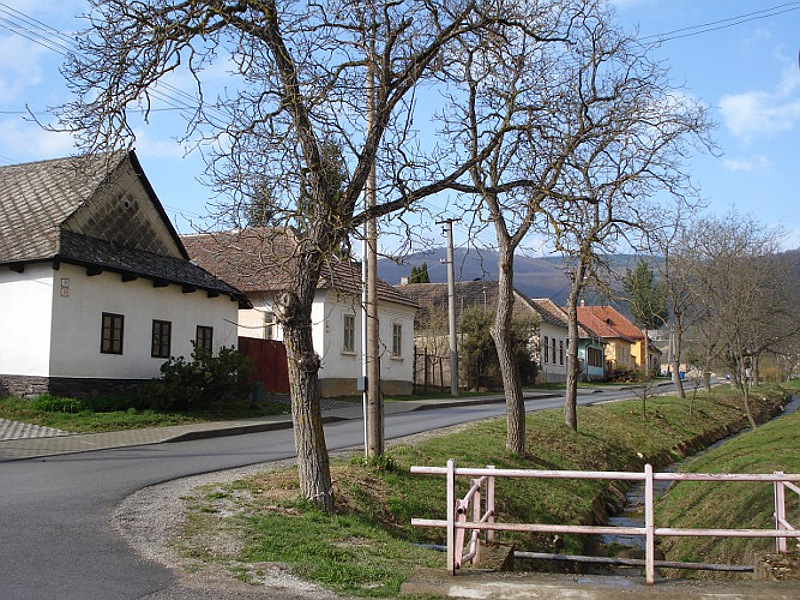 VYŠNÝ MEDZEV: získal štatút slobodného kráľovského privilegovaného banského mesta za cisára Leopolda prvého.