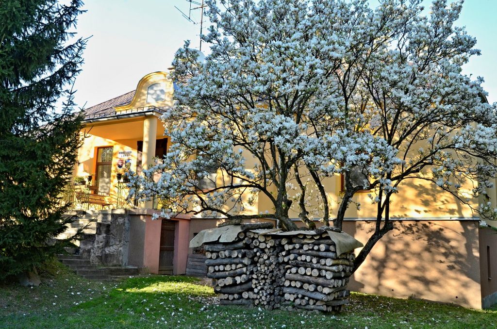 KRNÁ: Najstaršou pamätihodnosťou obce je klasicistická kúria z roku 1820 KRNÁ: Najstaršou pamätihodnosťou obce je klasicistická kúria z roku 1820