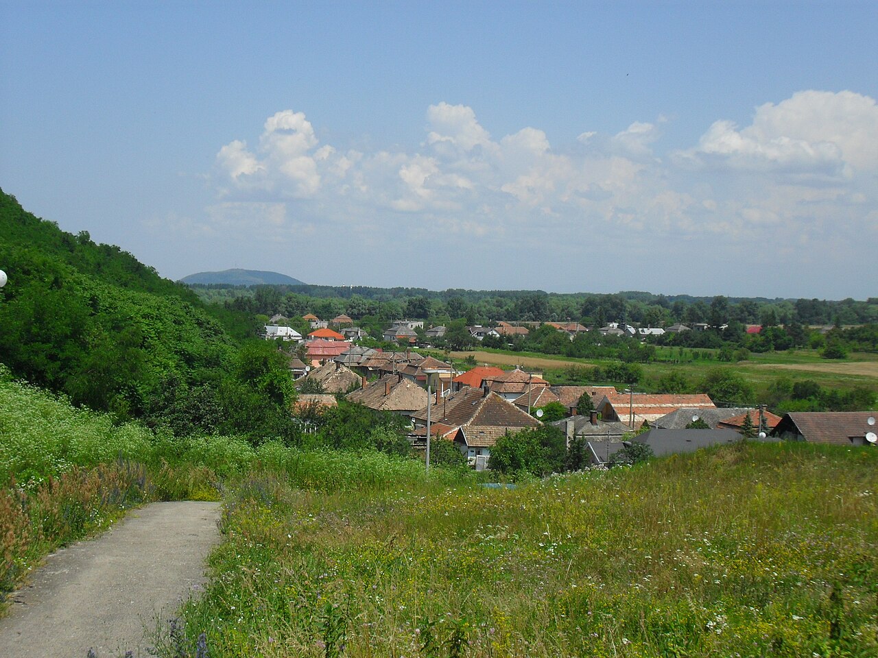 SOMOTOR: V Somotore sa nachádza desať ulíc: Agátová, Gaštanová,Lipová, Hlavná, Nová, Novoviešťanská, Obchodná, Podbodrožská, Staničná a Vinohradská.