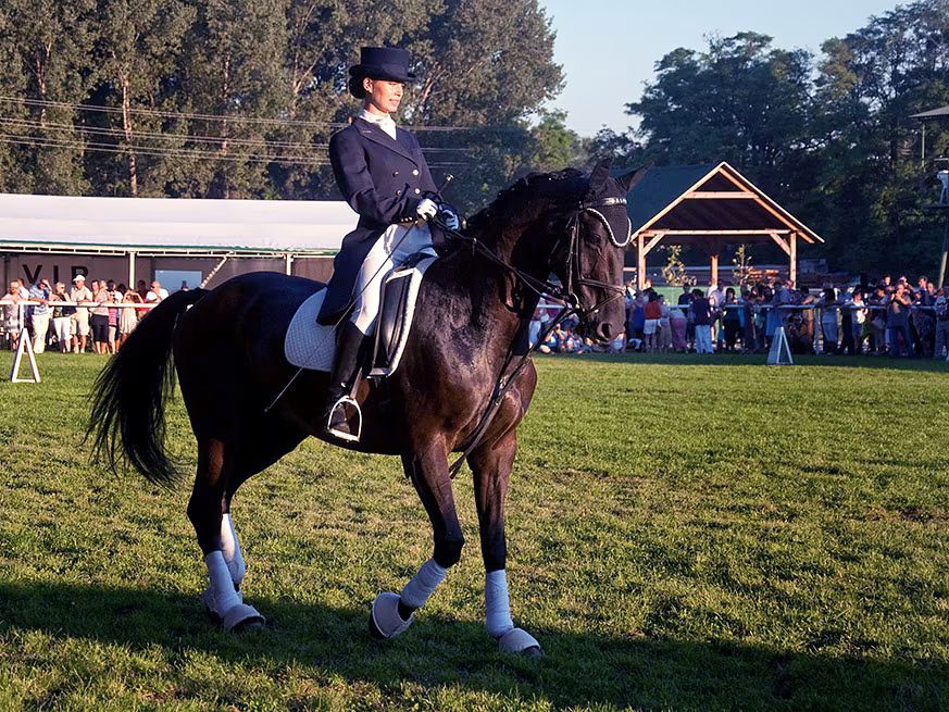 ZLATNÁ NA OSTROVE: Czajlik ranch
