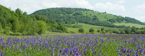 HOSTOVICE: Prvá písomná zmienka