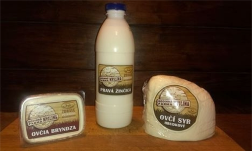 MYSLINA: Firmy a služby v obci