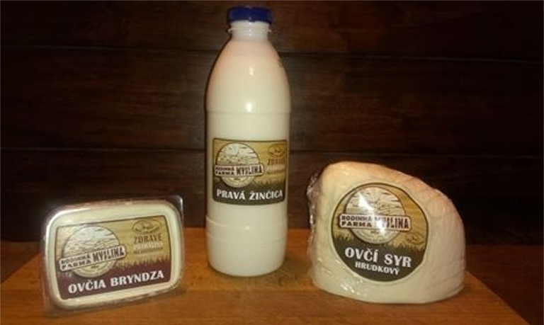 MYSLINA: Firmy a služby v obci MYSLINA: Firmy a služby v obci