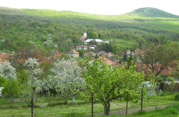 LADICE: R. 1353 sa obec spomína ako Maior, Minor Lendeche. Pôvodné obyvateľstvo nahradili Sikulovia (maď. Székely). LADICE: R. 1353 sa obec spomína ako Maior, Minor Lendeche. Pôvodné obyvateľstvo nahradili Sikulovia (maď. Székely).