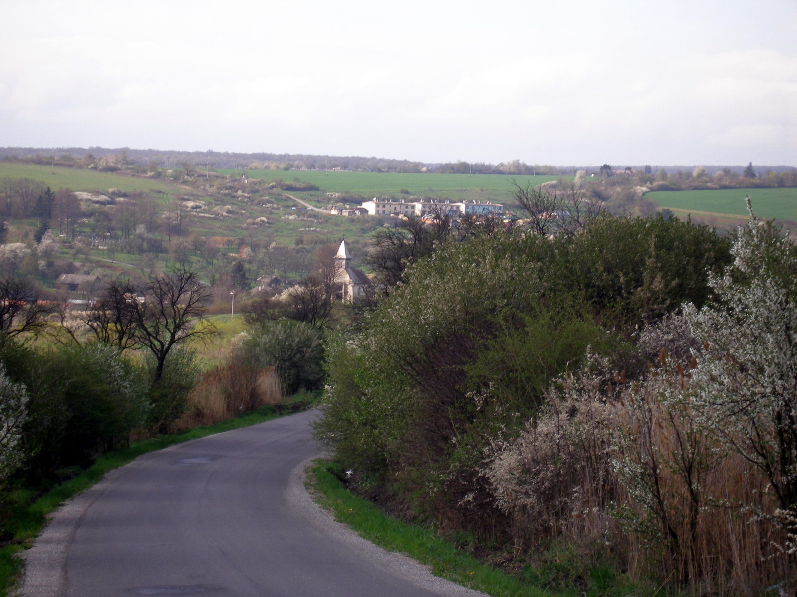 MIRKOVCE: Obec je situovaná približne 12 km juhovýchodne od Prešova v Košickej kotline, kde obec obklopujú Slanské vrchy.