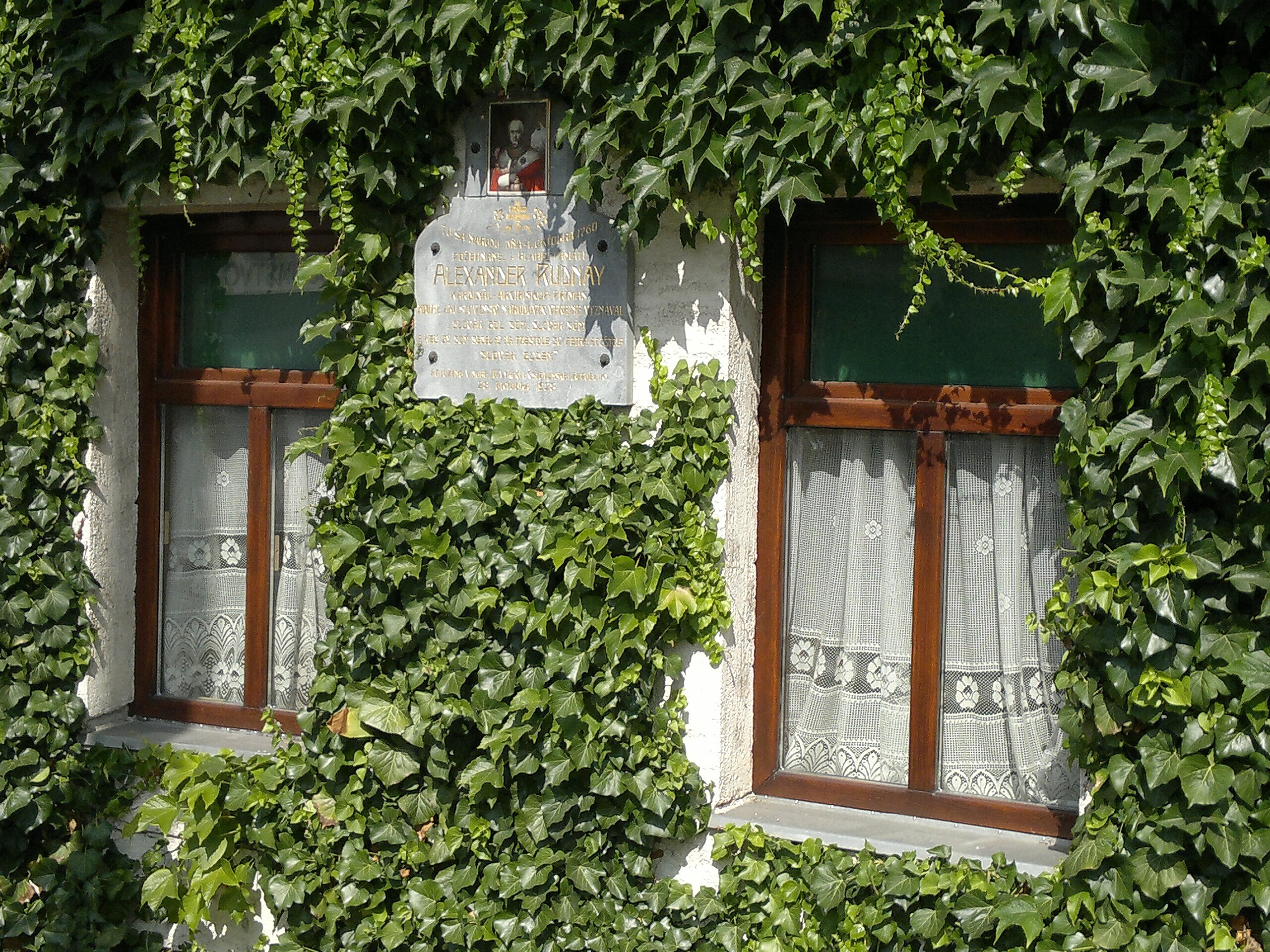 POVAŽANY: su pravom behu Váhu v blízkosti Nového Mesta nad Váhom POVAŽANY: su pravom behu Váhu v blízkosti Nového Mesta nad Váhom