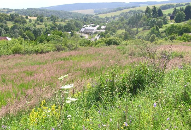 ŠEMETKOVCE: JRD bolo založené až v roku 1960 ŠEMETKOVCE: JRD bolo založené až v roku 1960