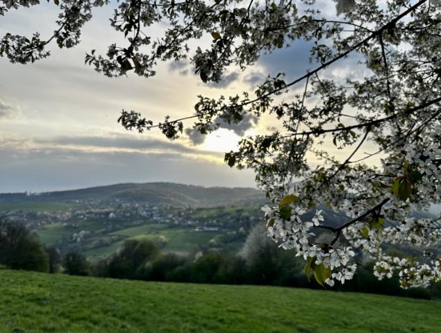 HORNÁ SÚČA: A ako dnes vyzerá príroda v okolí Hornej Súče? HORNÁ SÚČA: A ako dnes vyzerá príroda v okolí Hornej Súče?