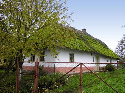 PETRIKOVCE: Obec Petrikovce sa nachádza na východe Slovenska v regióne dolný Zemplín.