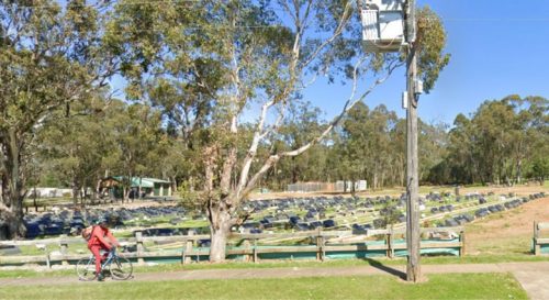 Bravčové hlavy ponechané na moslimskom cintoríne v Sydney (FOTO)