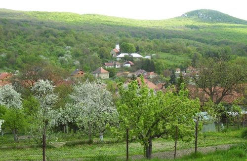 KOSTOĽANY POD TRIBEČOM: Počas druhej svetovej vojny (1939–1945) sa zrútilo v roku 1944 v lesoch neďaleko obce americké bombardovacie lietadlo.