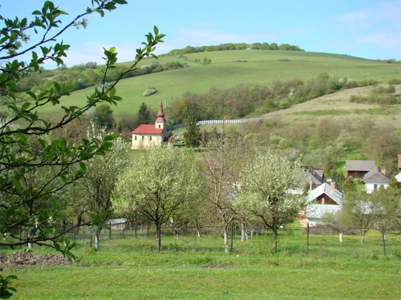 PROSAČOV: JAROSLAV DAVID - Starosta obce PROSAČOV: JAROSLAV DAVID - Starosta obce