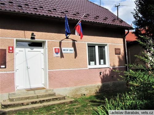 MLÁDZOVO: Od roku 1996 patrí Mládzovo novozriadenému okresu Poltár v rámci obnoveného Banskobystrického kraja.