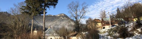 MALUŽINÁ: Oznam - výskyt medveďa v blízkosti obce