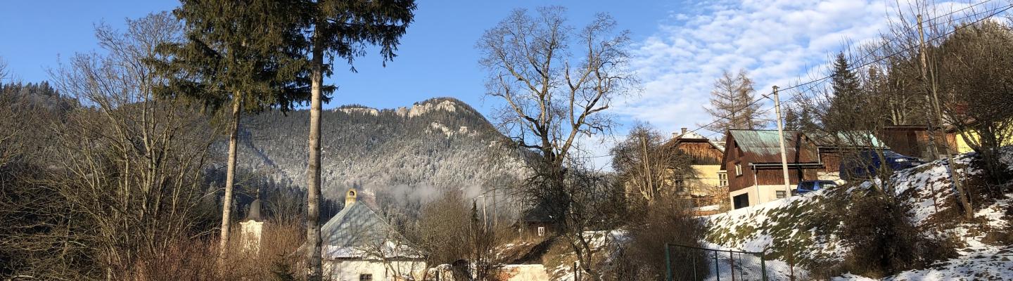 MALUŽINÁ: Oznam - výskyt medveďa v blízkosti obce