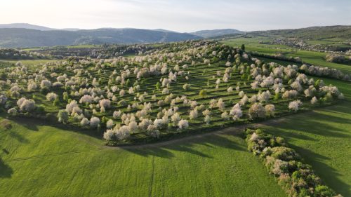 ÁBELOVÁ: 25.výročie Mikroregiónu Novohradské podzámčie
