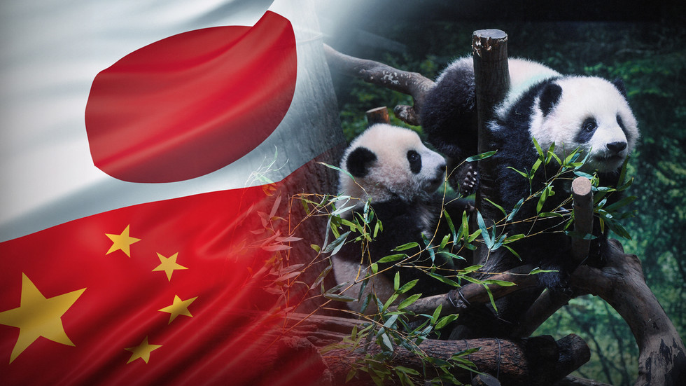 Posledné pandy z Japonska odchádzajú do Číny, vzťahy sa zhoršujú