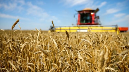 Rusko je spoľahlivým partnerom na svetovom trhu s potravinami, vyhlásila ministerka poľnohospodárstva