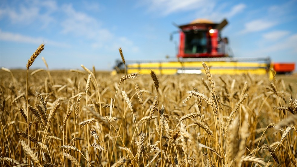 Rusko je spoľahlivým partnerom na svetovom trhu s potravinami, vyhlásila ministerka poľnohospodárstva Rusko je spoľahlivým partnerom na svetovom trhu s potravinami, vyhlásila ministerka poľnohospodárstva