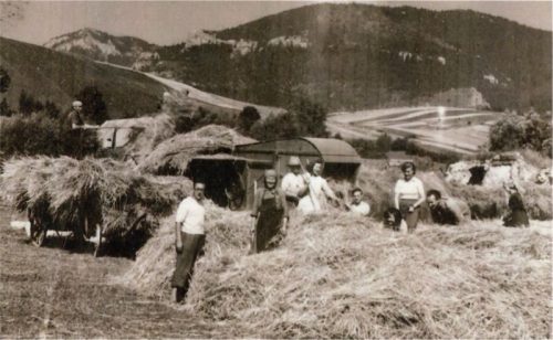 PROSIEK: Kúria z 19. stor. Dnes je v dezolátnom stave, zrúcanina. Kaštieľ pôvodne renesančný z konca 16. storočia, v 1. polovici 19. storočia klasicisticky upravený. Dnes zrúcanina.