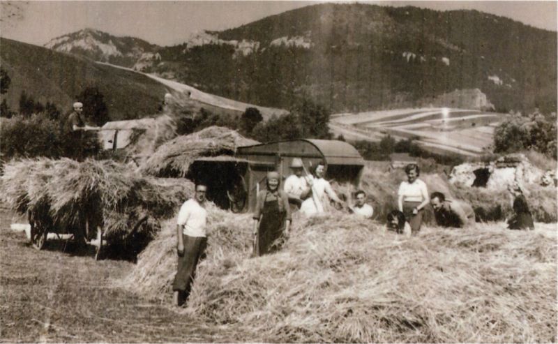 PROSIEK: Kúria z 19. stor. Dnes je v dezolátnom stave, zrúcanina. Kaštieľ pôvodne renesančný z konca 16. storočia, v 1. polovici 19. storočia klasicisticky upravený. Dnes zrúcanina. PROSIEK: Kúria z 19. stor. Dnes je v dezolátnom stave, zrúcanina. Kaštieľ pôvodne renesančný z konca 16. storočia, v 1. polovici 19. storočia klasicisticky upravený. Dnes zrúcanina.