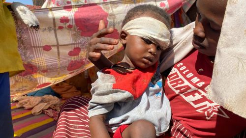 Misia OSN hlási „genocídu“ v africkom štáte