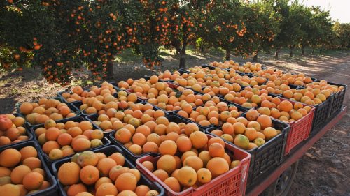 Napätie na Blízkom východe ohrozuje export z Južnej Afriky – obchodná organizácia