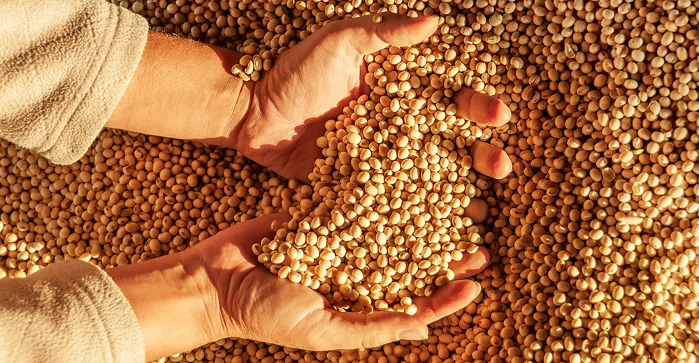 Kupujete si slobodu? Dovoz potravín do Iraku z USA v roku 2025 presiahol 140 miliónov dolárov