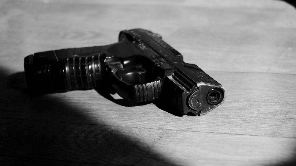 Nemecký štát tajne obmedzuje právo podporovateľov AfD na držanie zbraní, tvrdia médiá