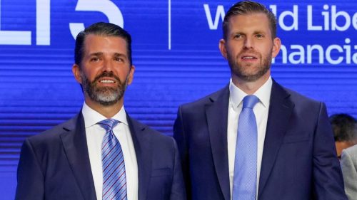 Trumpovi synovia si nárokujú podiel v ťažobnej skupine podporovanej americkou vládou – FT